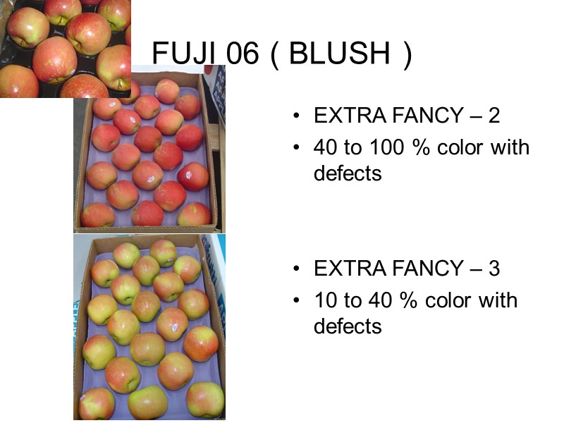 FUJI 06 ( BLUSH ) EXTRA FANCY – 2  40 to 100 %